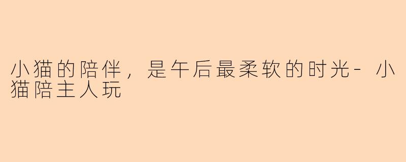 小猫的陪伴，是午后最柔软的时光