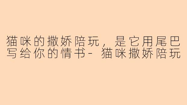 猫咪的撒娇陪玩，是它用尾巴写给你的情书