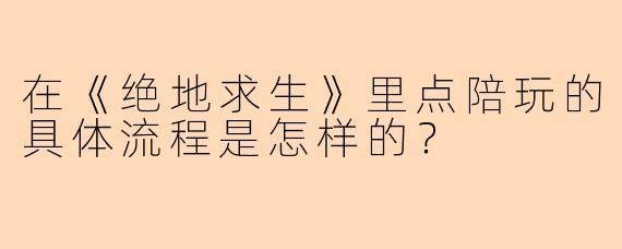 在《绝地求生》里点陪玩的具体流程是怎样的？