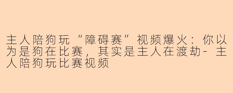 主人陪狗玩“障碍赛”视频爆火：你以为是狗在比赛，其实是主人在渡劫