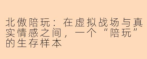 北傲陪玩：在虚拟战场与真实情感之间，一个“陪玩”的生存样本