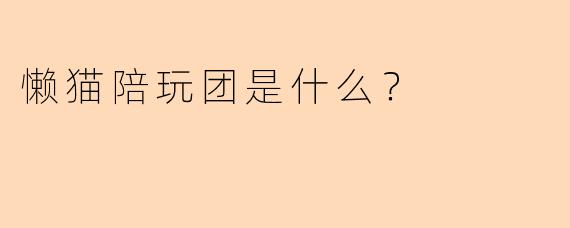 懒猫陪玩团是什么？