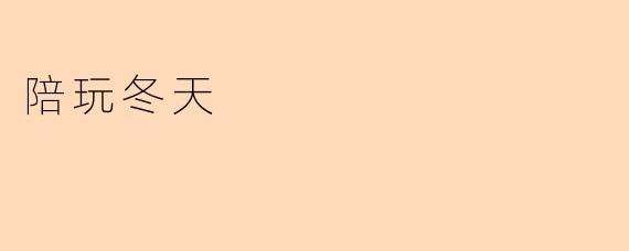 陪玩冬天