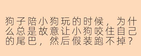 狗子陪小狗玩的时候，为什么总是故意让小狗咬住自己的尾巴，然后假装跑不掉？