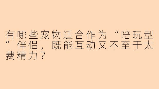 有哪些宠物适合作为“陪玩型”伴侣，既能互动又不至于太费精力？