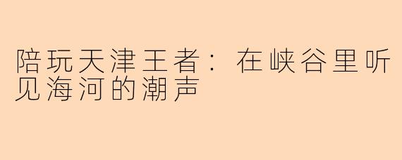 陪玩天津王者：在峡谷里听见海河的潮声