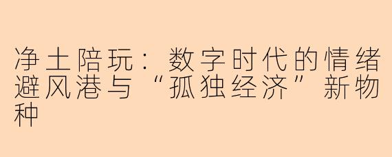 净土陪玩：数字时代的情绪避风港与“孤独经济”新物种