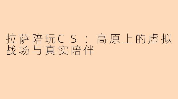拉萨陪玩CS：高原上的虚拟战场与真实陪伴