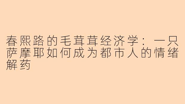 春熙路的毛茸茸经济学：一只萨摩耶如何成为都市人的情绪解药