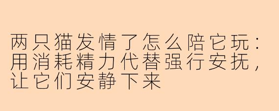 两只猫发情了怎么陪它玩：用消耗精力代替强行安抚，让它们安静下来