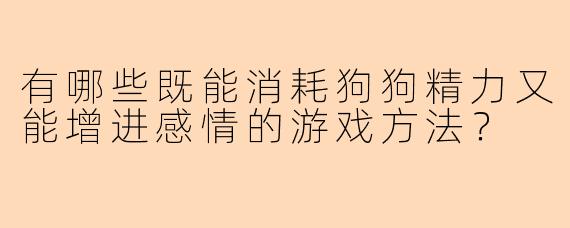 有哪些既能消耗狗狗精力又能增进感情的游戏方法？