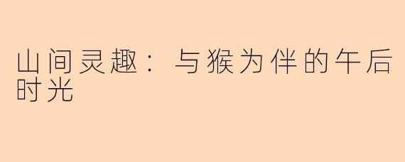 山间灵趣：与猴为伴的午后时光