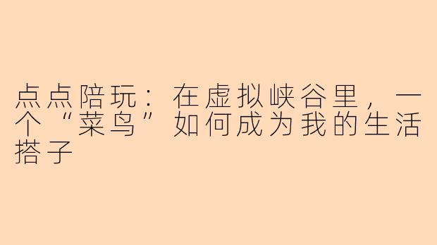 点点陪玩：在虚拟峡谷里，一个“菜鸟”如何成为我的生活搭子