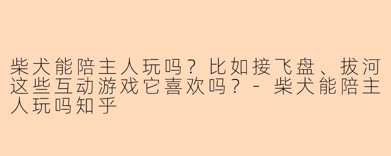 柴犬能陪主人玩吗？比如接飞盘、拔河这些互动游戏它喜欢吗？