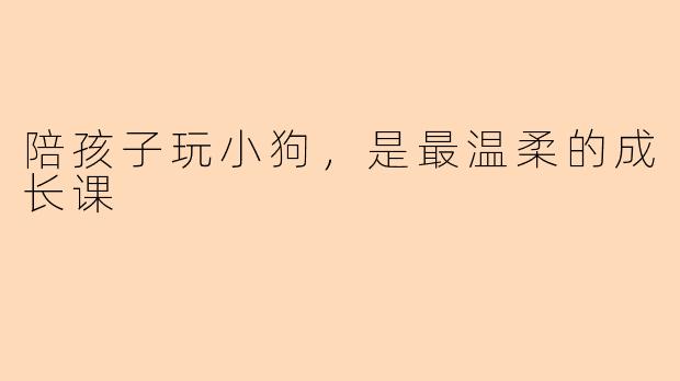 陪孩子玩小狗，是最温柔的成长课