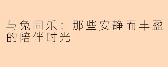 与兔同乐：那些安静而丰盈的陪伴时光