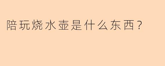 陪玩烧水壶是什么东西？