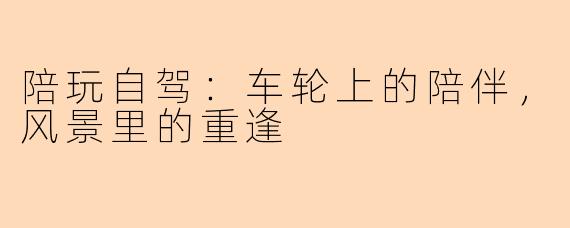陪玩自驾：车轮上的陪伴，风景里的重逢