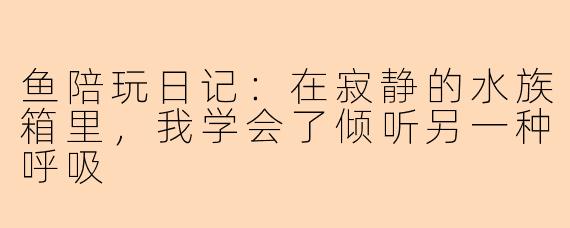 鱼陪玩日记：在寂静的水族箱里，我学会了倾听另一种呼吸