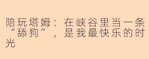 陪玩塔姆：在峡谷里当一条“舔狗”，是我最快乐的时光