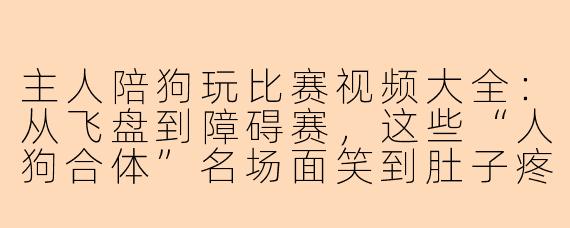 主人陪狗玩比赛视频大全：从飞盘到障碍赛，这些“人狗合体”名场面笑到肚子疼