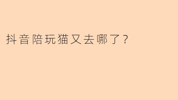 抖音陪玩猫又去哪了？