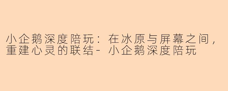 小企鹅深度陪玩：在冰原与屏幕之间，重建心灵的联结