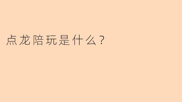 点龙陪玩是什么？