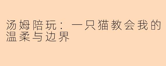 汤姆陪玩：一只猫教会我的温柔与边界