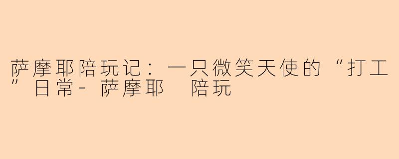 萨摩耶陪玩记：一只微笑天使的“打工”日常