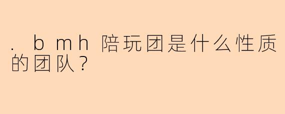 .bmh陪玩团是什么性质的团队？