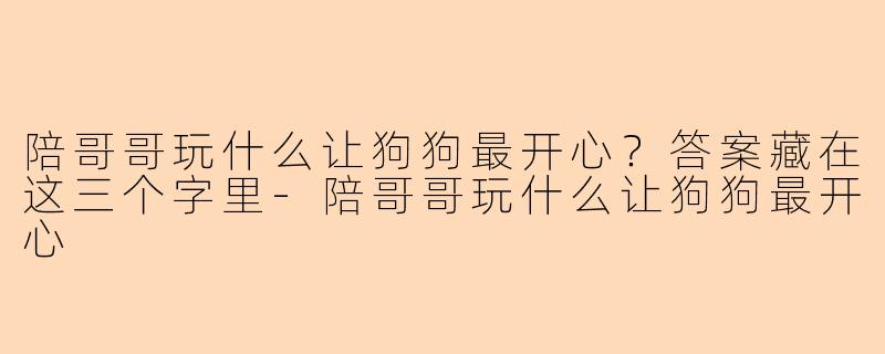 陪哥哥玩什么让狗狗最开心？答案藏在这三个字里