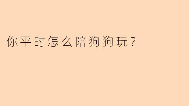 你平时怎么陪狗狗玩？