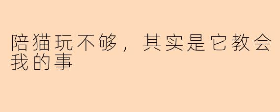陪猫玩不够，其实是它教会我的事