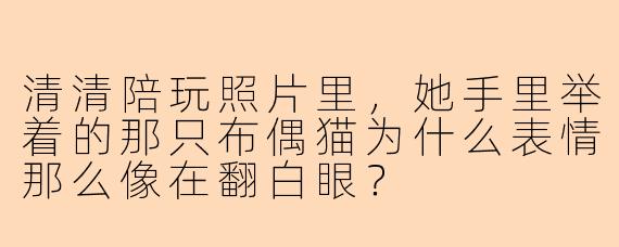 清清陪玩照片里，她手里举着的那只布偶猫为什么表情那么像在翻白眼？