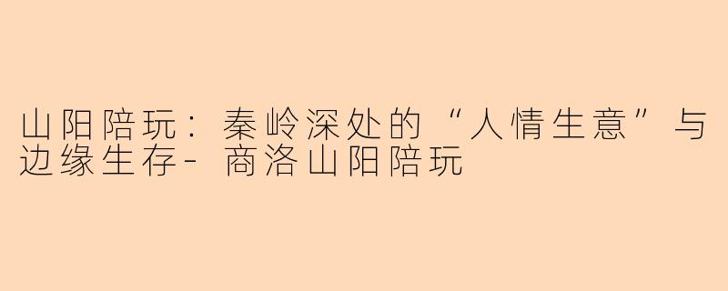 山阳陪玩:秦岭深处的“人情生意”与边缘生存-商洛山阳陪玩