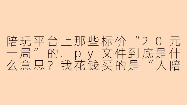 陪玩平台上那些标价“20元一局”的.py文件到底是什么意思？我花钱买的是“人陪”还是“脚本陪”？为什么有的卖家会强调“纯手工操作，非.py”？