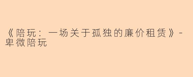 《陪玩:一场关于孤独的廉价租赁》-卑微陪玩