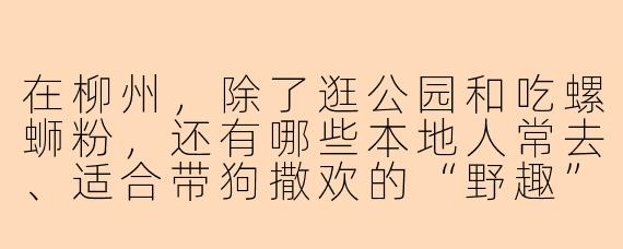 在柳州,除了逛公园和吃螺蛳粉,还有哪些本地人常去、适合带狗撒欢的“野趣”玩法?