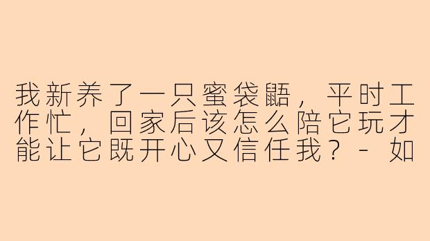 我新养了一只蜜袋鼯,平时工作忙,回家后该怎么陪它玩才能让它既开心又信任我?-如何陪蜜袋鼯鼠玩