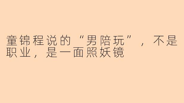 童锦程说的“男陪玩”,不是职业,是一面照妖镜