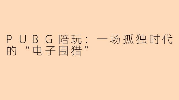 PUBG陪玩:一场孤独时代的“电子围猎”