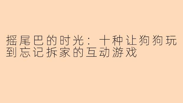 摇尾巴的时光:十种让狗狗玩到忘记拆家的互动游戏