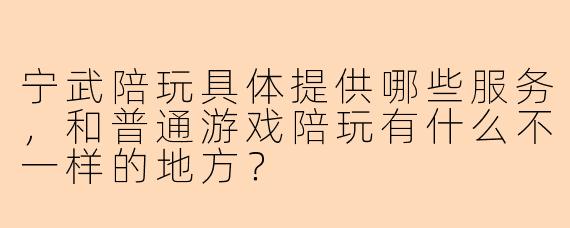 宁武陪玩具体提供哪些服务，和普通游戏陪玩有什么不一样的地方？