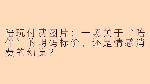 陪玩付费图片:一场关于“陪伴”的明码标价,还是情感消费的幻觉?