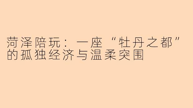 菏泽陪玩：一座“牡丹之都”的孤独经济与温柔突围