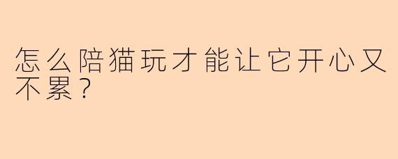 怎么陪猫玩才能让它开心又不累？