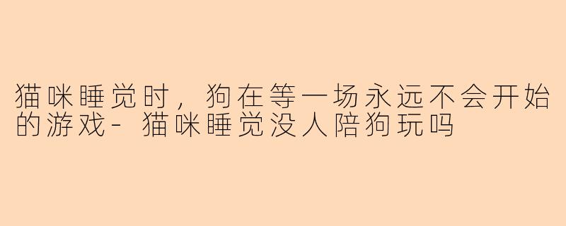 猫咪睡觉时，狗在等一场永远不会开始的游戏-猫咪睡觉没人陪狗玩吗