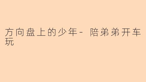 方向盘上的少年-陪弟弟开车玩