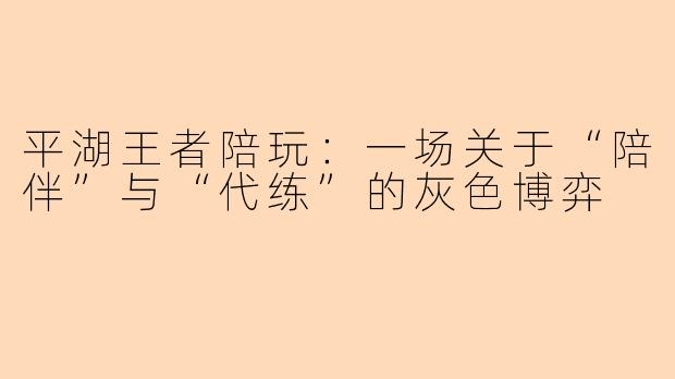 平湖王者陪玩：一场关于“陪伴”与“代练”的灰色博弈